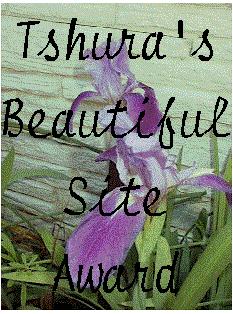 Tshura's Beautiful Site Award