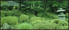 Giappone