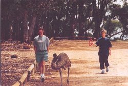 emu.jpg (16546 bytes)