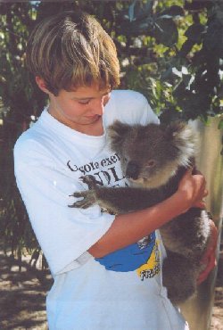 tykoala.jpg (24747 bytes)