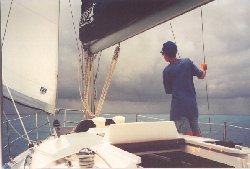 squall.jpg (11379 bytes)