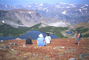 Beartooth View