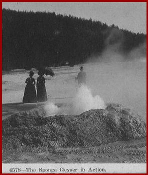 Sponge Geyser