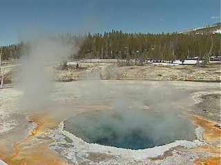 Cressted Pool