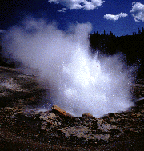 Echinus Geyser