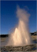 Plume Geysers