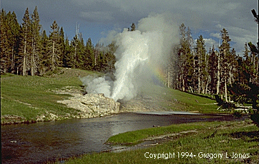 Riverside Geyser