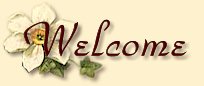 Welcome banner