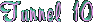 mouseoverb_tunnel10.gif (848 bytes)