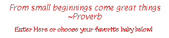 blank.gif (1019 bytes)