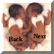 Back ~ Next button