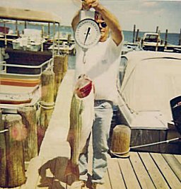 Striped Bass on the docks of Downes