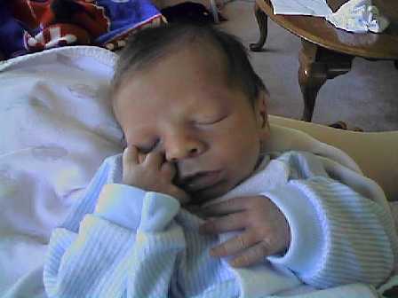 Andrew - 2 weeks old
