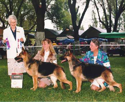 Shasta & Lacy