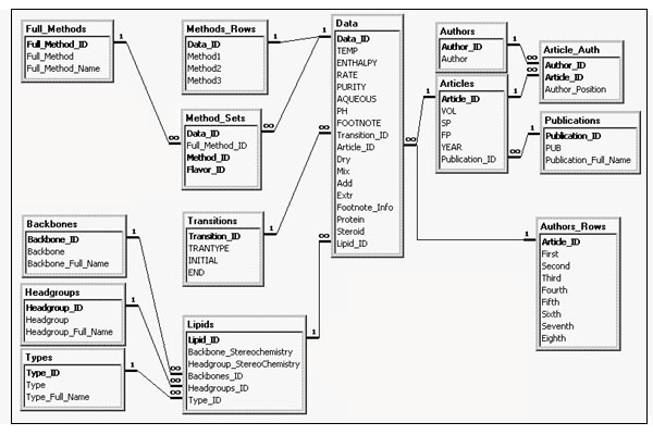 WEB IMPLEMENTATION
