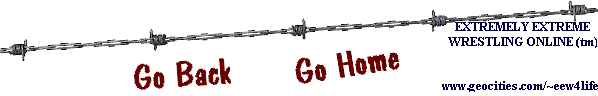 bottom.gif (5285 bytes)