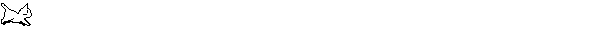 Cat Run