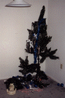 First Christmas Tree