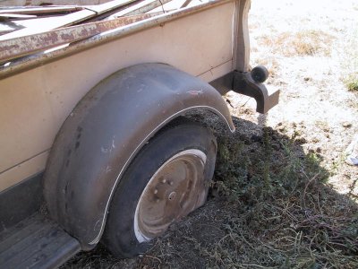 Rear Detail