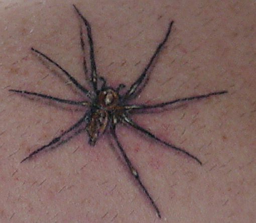 marktattoospider1.jpg (44408 bytes)
