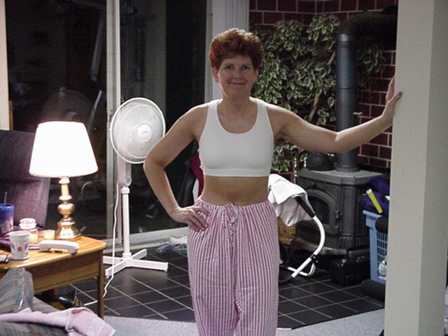 sherisdollhouse1.jpg (96152 bytes)