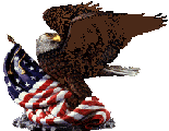 Eagle-Flag