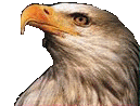 Eagle Head