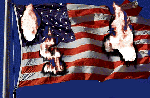 Flag Burn Sta