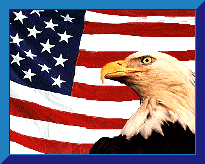 Flag US Eagle