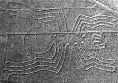 Nasca Lines