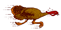 Turkey Flees Axe