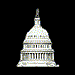Government/Skull
