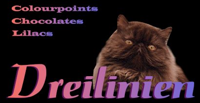 Dreilinien