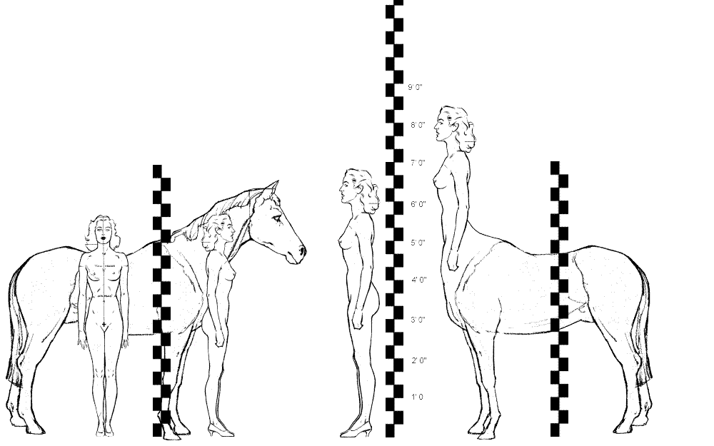 Horse, Human and Centaur Comparisons--Original Format