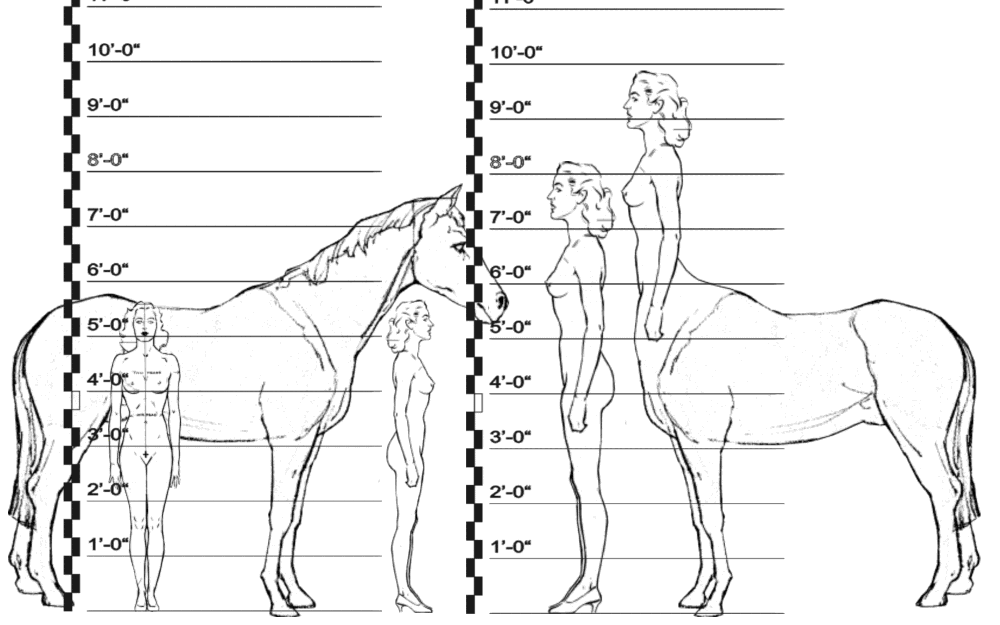 Horse, Human and Centaur Comparisons--18 Hands