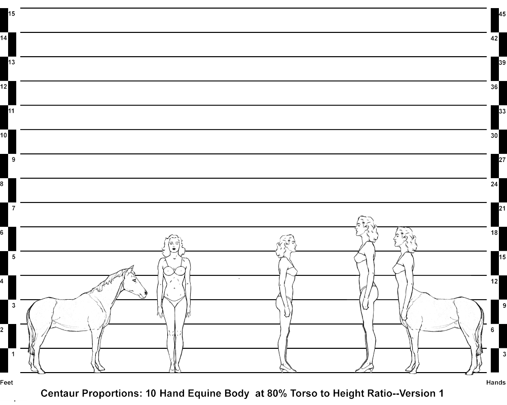 Horse, Human and Centaur Comparisons--10 Hand Equine Body with 80% Torso to Height Ratio--Version 1