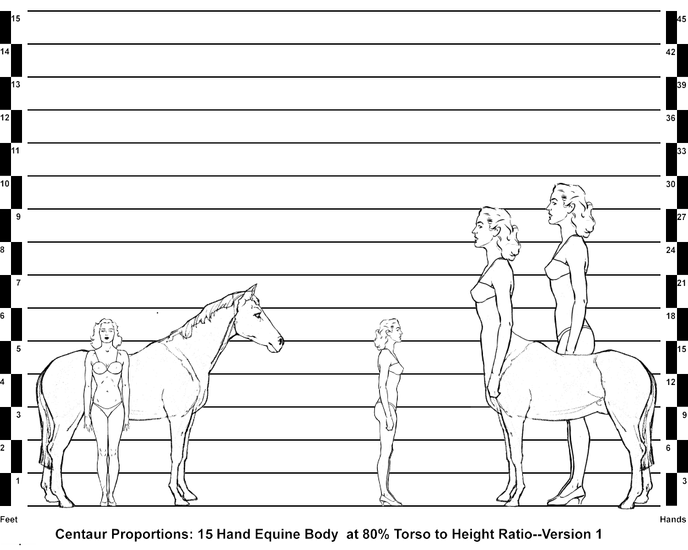 Horse, Human and Centaur Comparisons--15 Hand Equine Body with 80% Torso to Height Ratio--Version 1