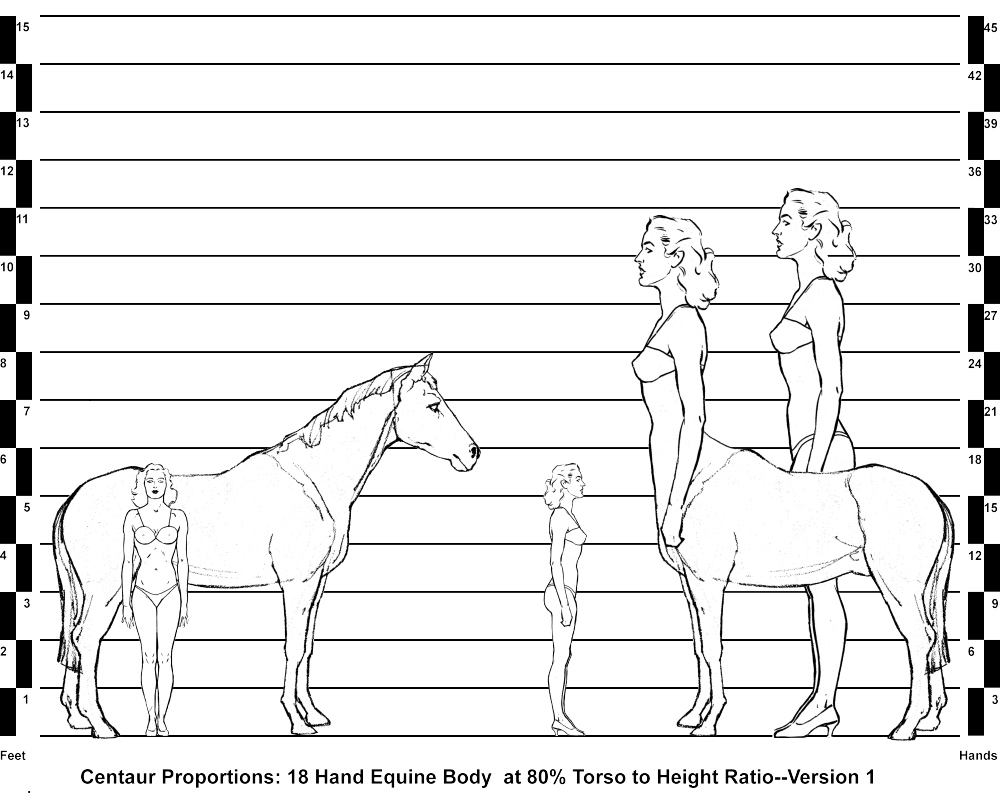 Horse, Human and Centaur Comparisons--18 Hand Equine Body with 80% Torso to Height Ratio--Version 1