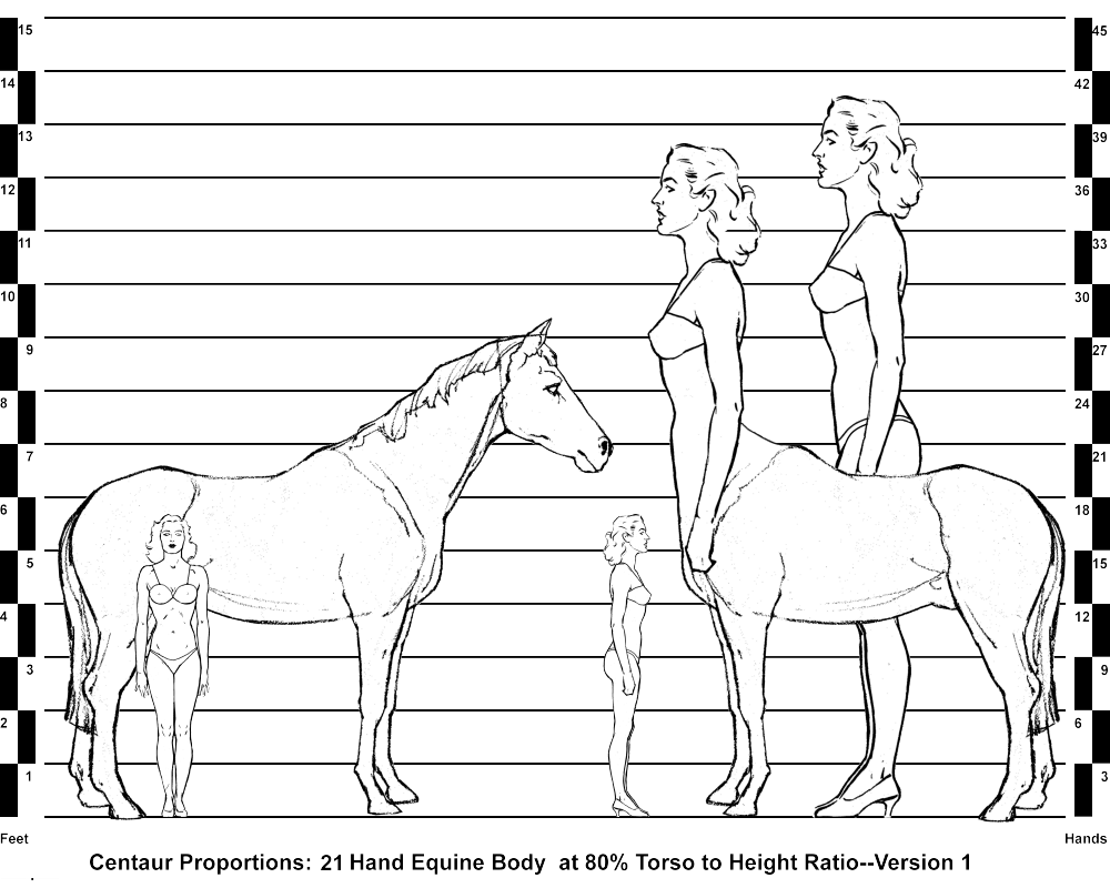 Horse, Human and Centaur Comparisons--21 Hand Equine Body with 80% Torso to Height Ratio--Version 1