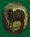 Lamb