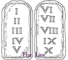The Law