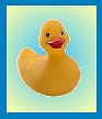 rubber duckie