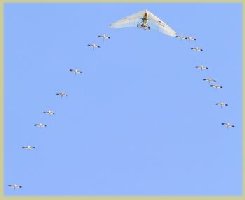 Operation Migration