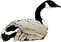 Goose clipart