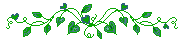 Ivy