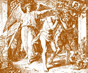 Fall of 
the First Adam