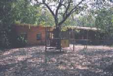 backyard2.jpg (6751 bytes)