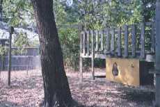 backyard4.jpg (7624 bytes)