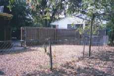 backyard5.jpg (7582 bytes)