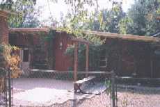 backyard6.jpg (6300 bytes)